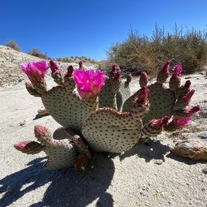 Meet your Posher, Nathan